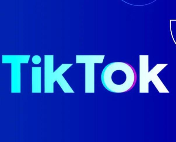 Google&Tiktok外貿營銷服務